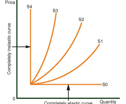 Elasticity of the Supply and Demand Curves