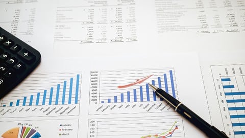 Voltooi de cursus financiële modellering met 8 branchemodellen