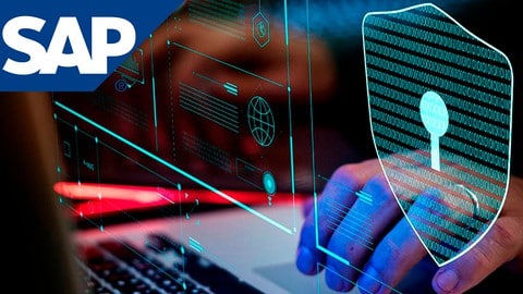 دورة أمن SAP: الأساسيات والأدوار وأمن المعلومات